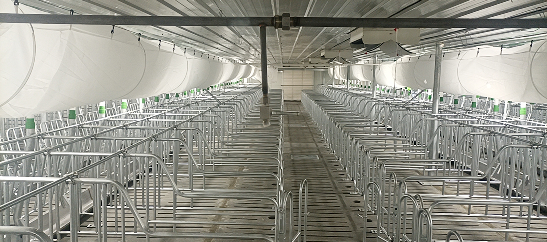 江西(xī)撫州豬場(chǎng)高(gāo)壓清洗項目